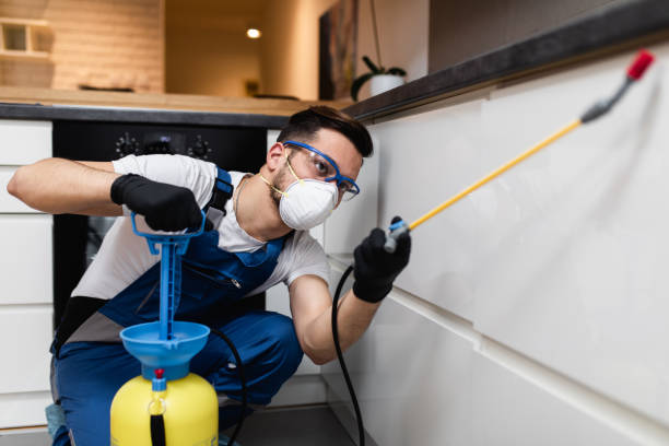 Best Best Pest Control Companies  in Flemington, GA