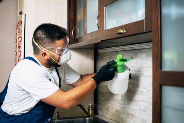 Best Commercial Pest Control Services  in Flemington, GA