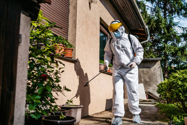Best Wasp Removal Services  in Flemington, GA