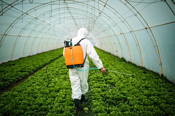 Best Pest Control for Homes  in Flemington, GA