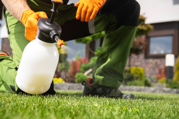 Best Pest Inspection Near Me  in Flemington, GA