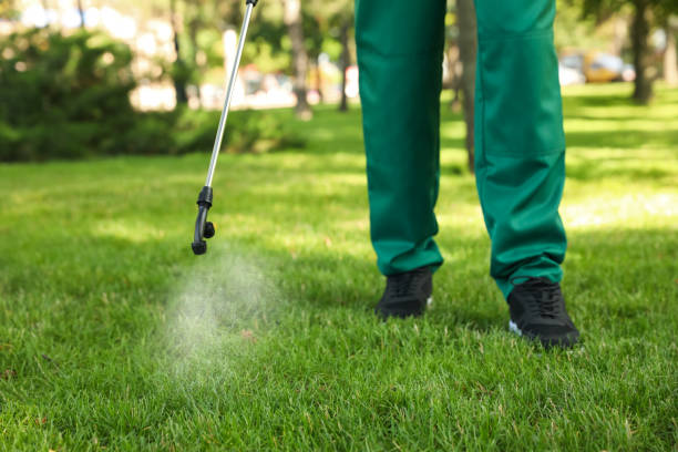 Best Pest Control for Businesses  in Flemington, GA
