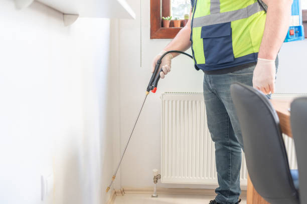 Best Ant Control Services  in Flemington, GA