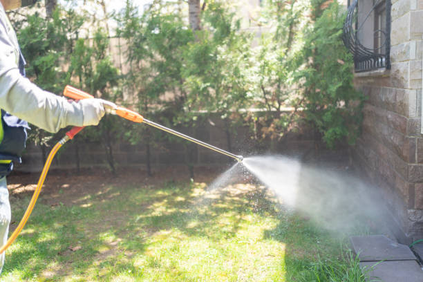 Best Pest Control Near Me  in Flemington, GA