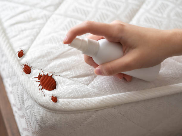 Best Best Pest Control Companies  in Flemington, GA