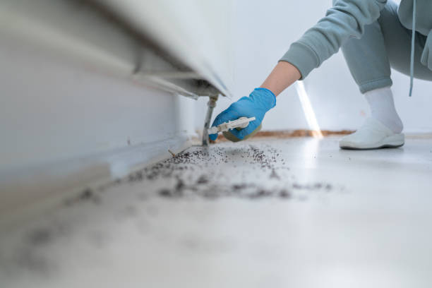 Best Cockroach Control Services  in Flemington, GA