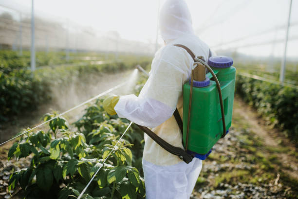 Best Residential Pest Control  in Flemington, GA